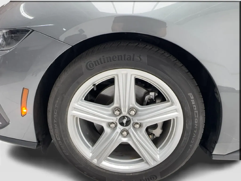 Ford Mustang photo 15