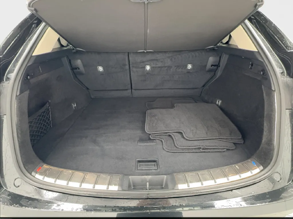 Lexus NX photo 18