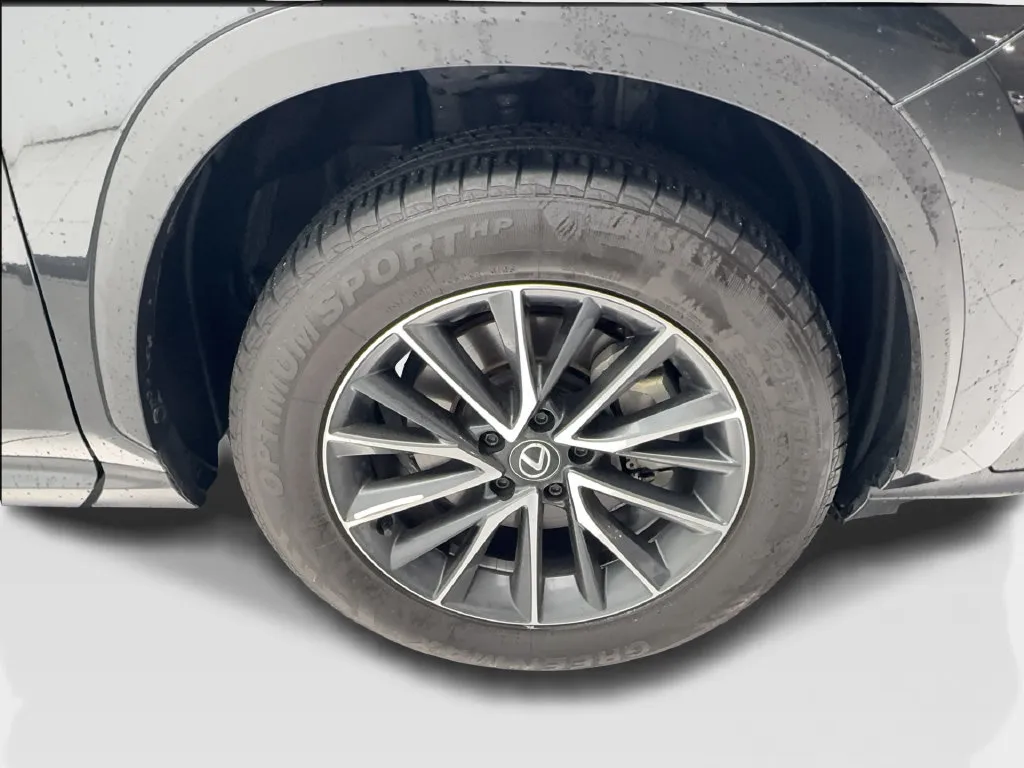 Lexus NX photo 15