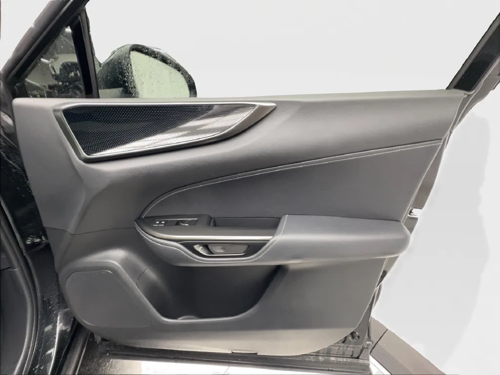 Lexus NX photo 30