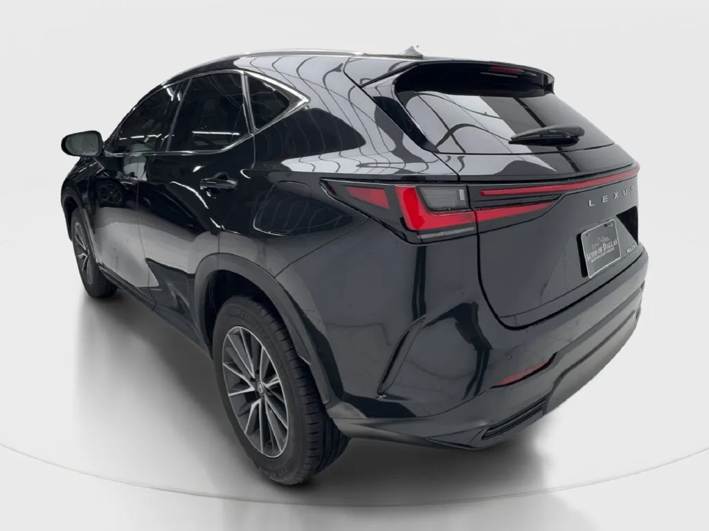 Lexus NX photo 11