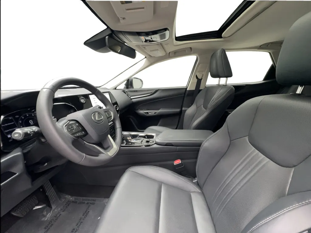 Lexus NX photo 20