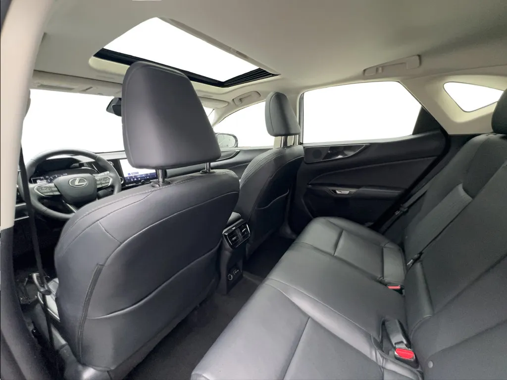 Lexus NX photo 22