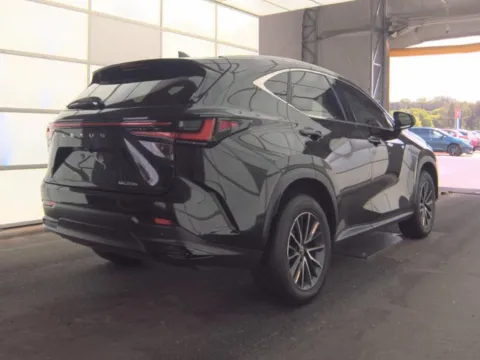 Another view of 2025 Lexus NX 250 Base for sale in Plano, TX at Autos of Dallas - Plano