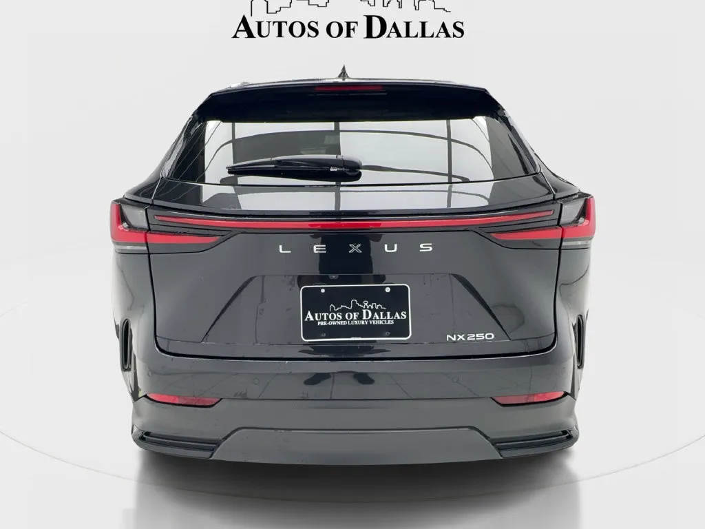 Lexus NX photo 10