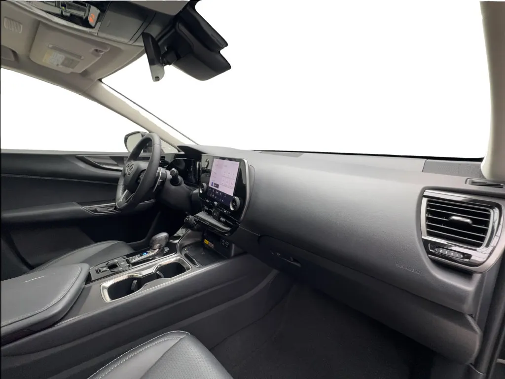 Lexus NX photo 29