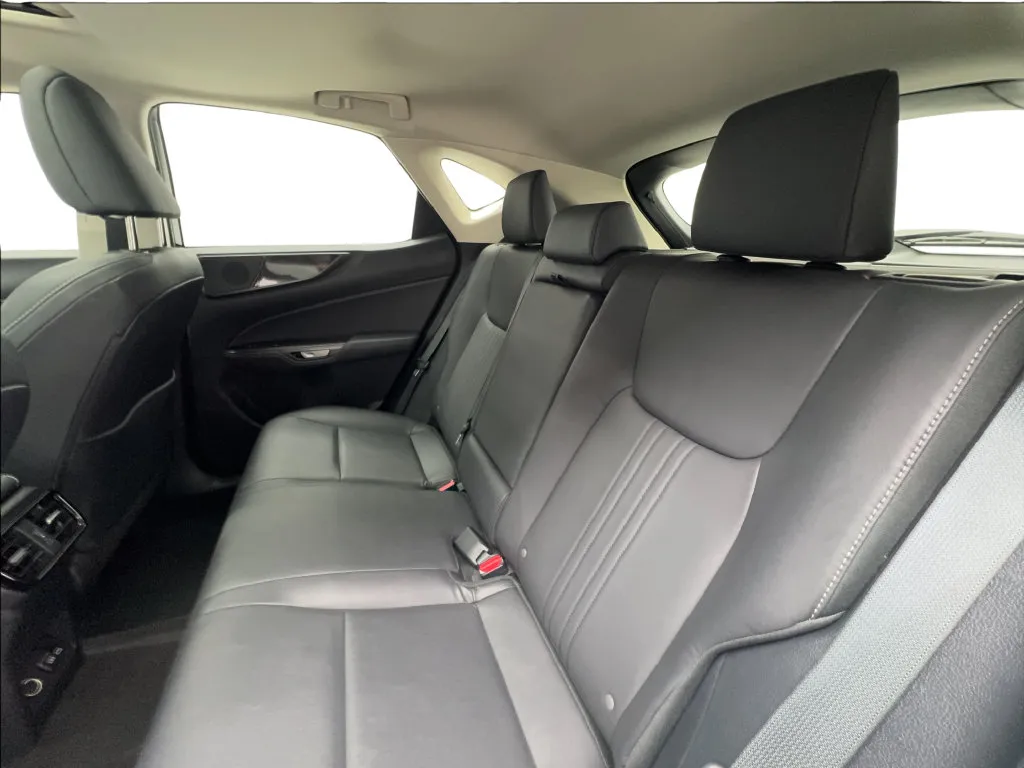 Lexus NX photo 23