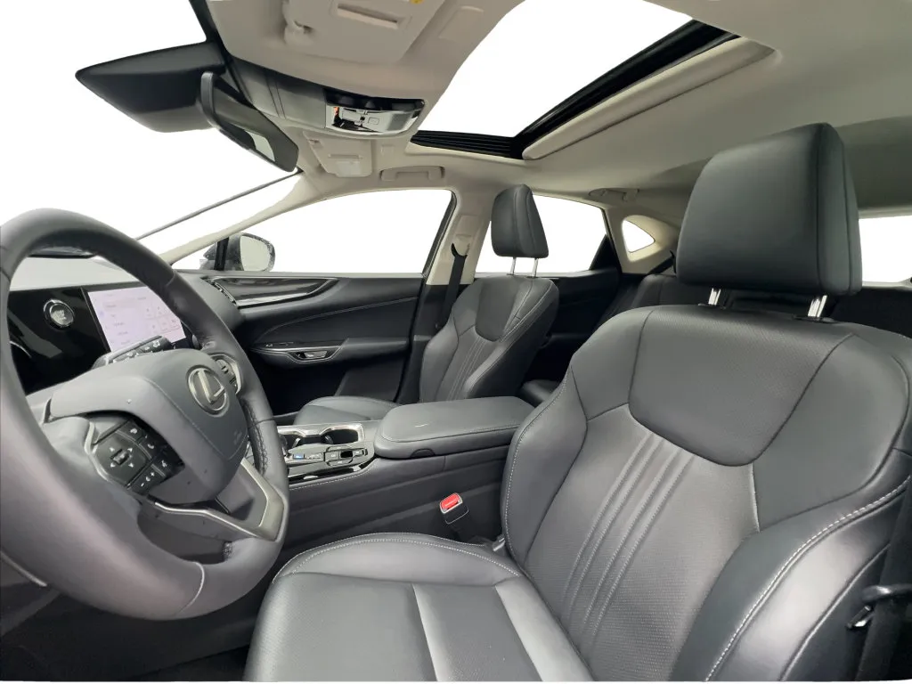 Lexus NX photo 19
