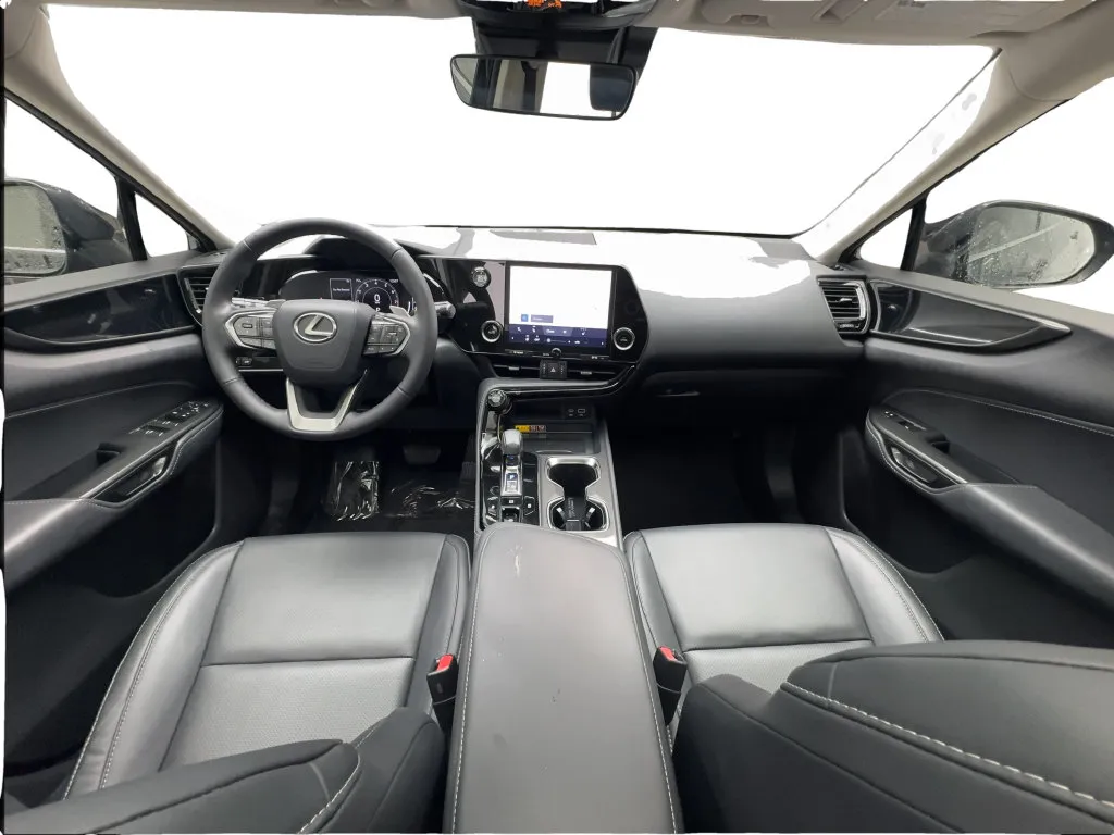 Lexus NX photo 35