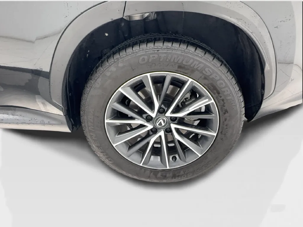 Lexus NX photo 12