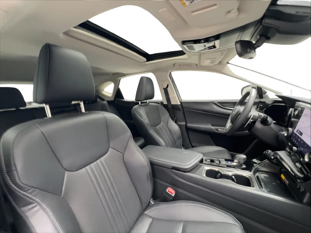 Lexus NX photo 28