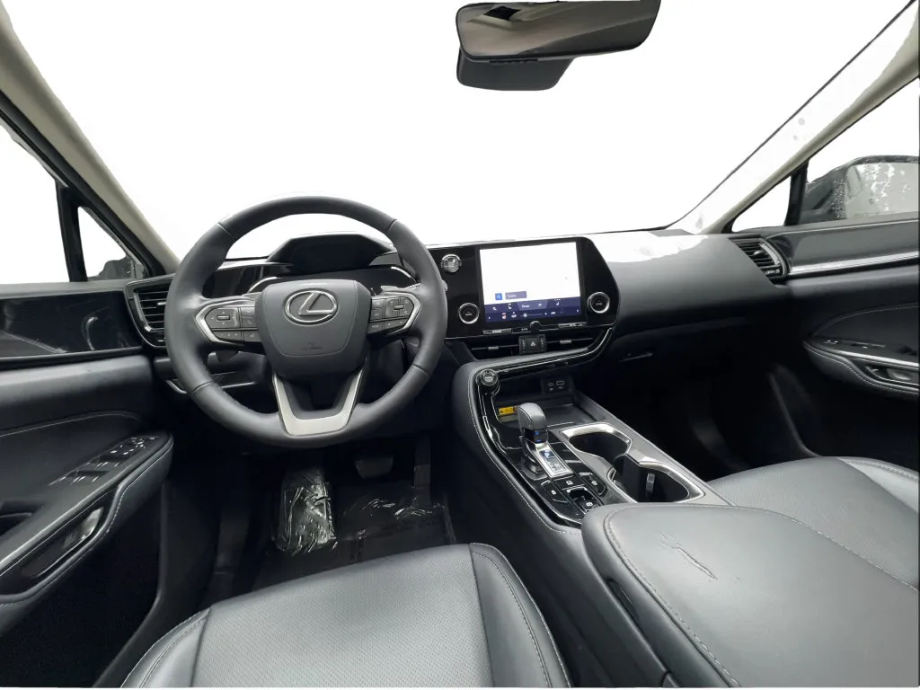 Lexus NX photo 32