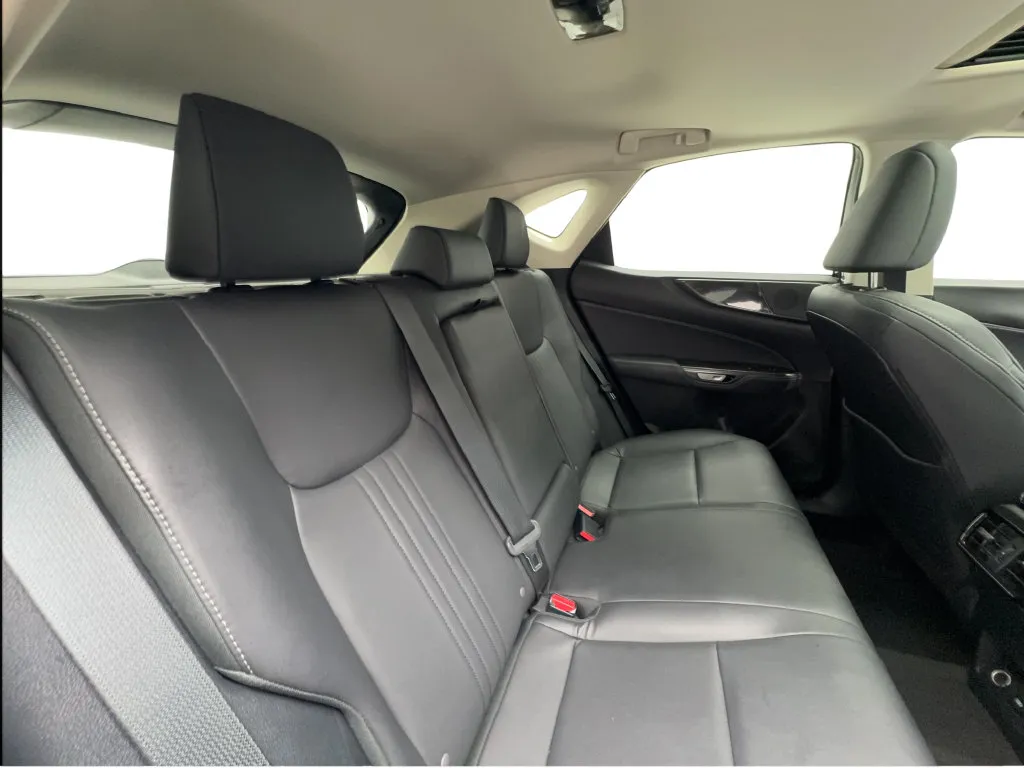 Lexus NX photo 26