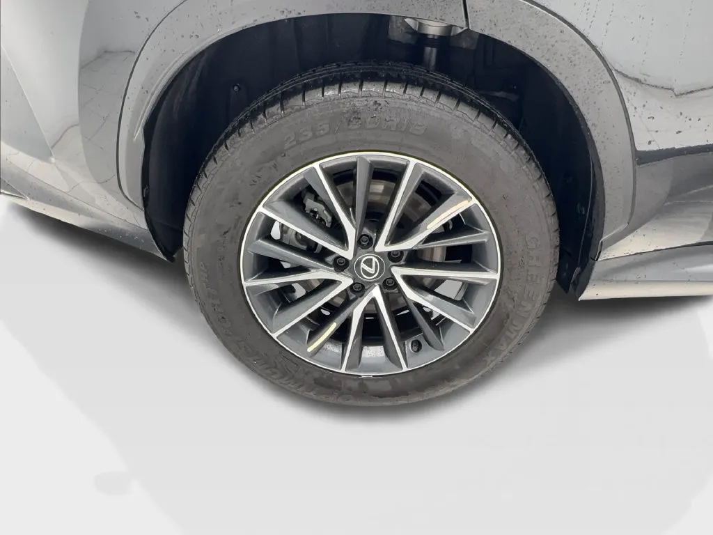 Lexus NX photo 16