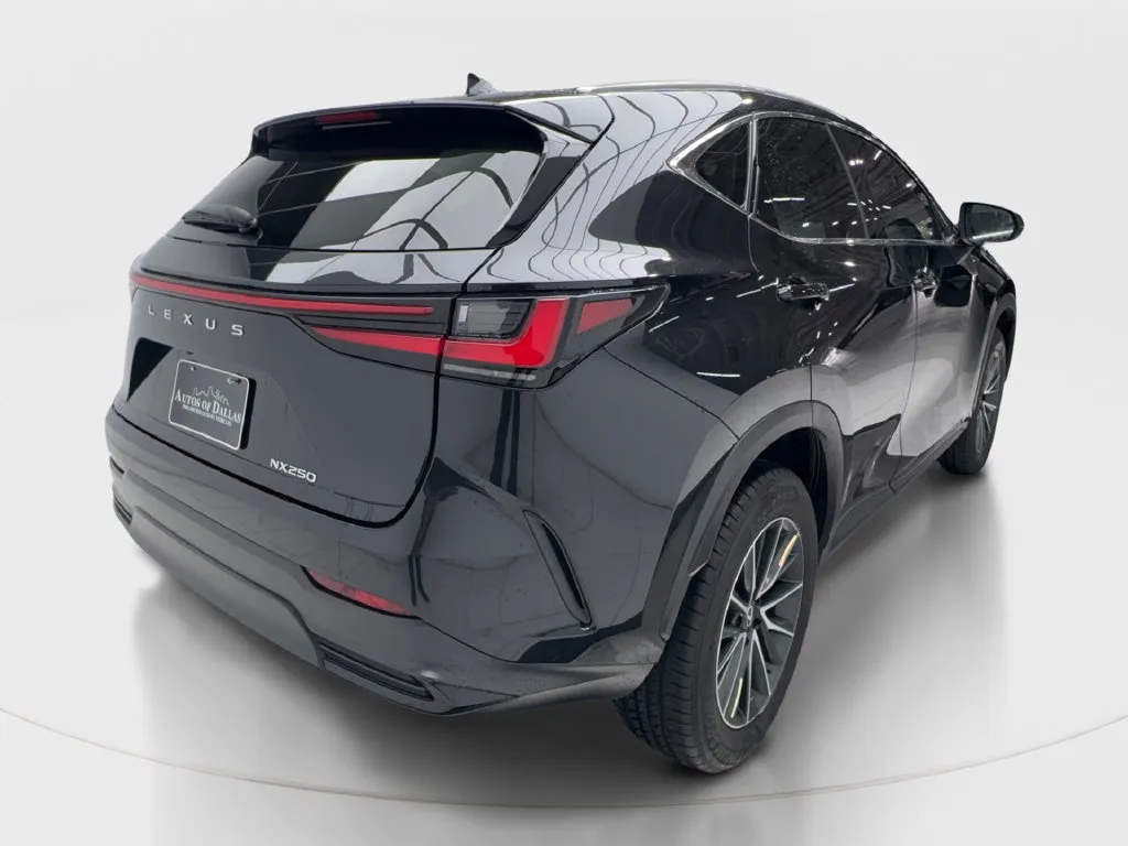 Lexus NX photo 8