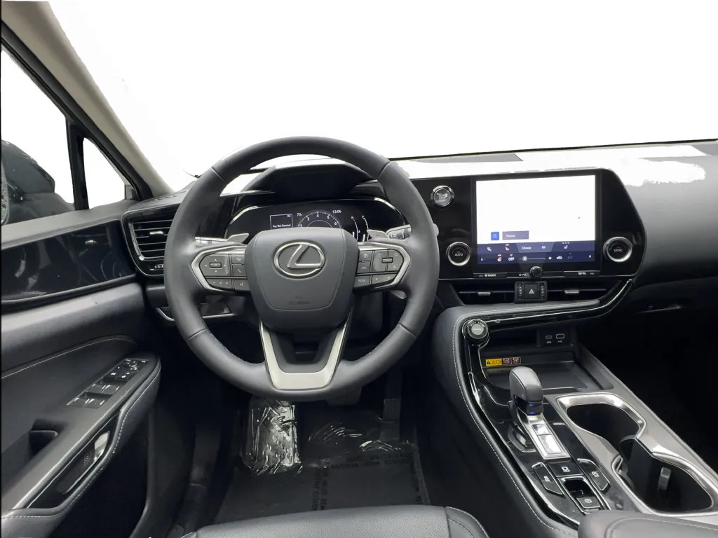 Lexus NX photo 33