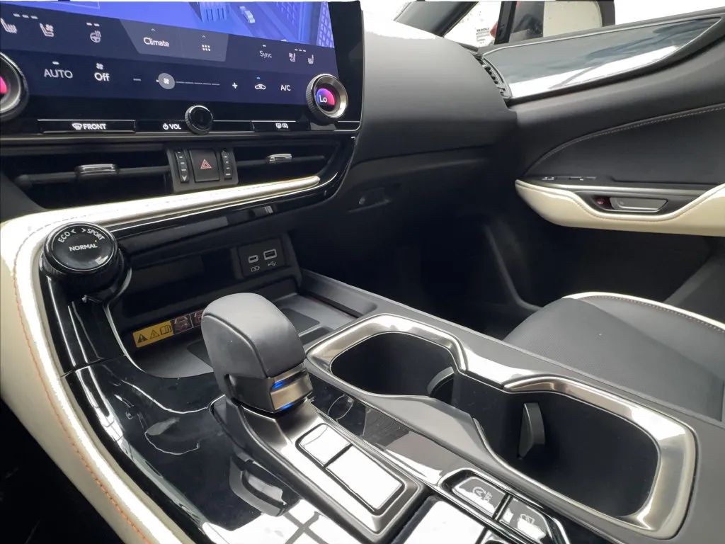 Lexus NX photo 45