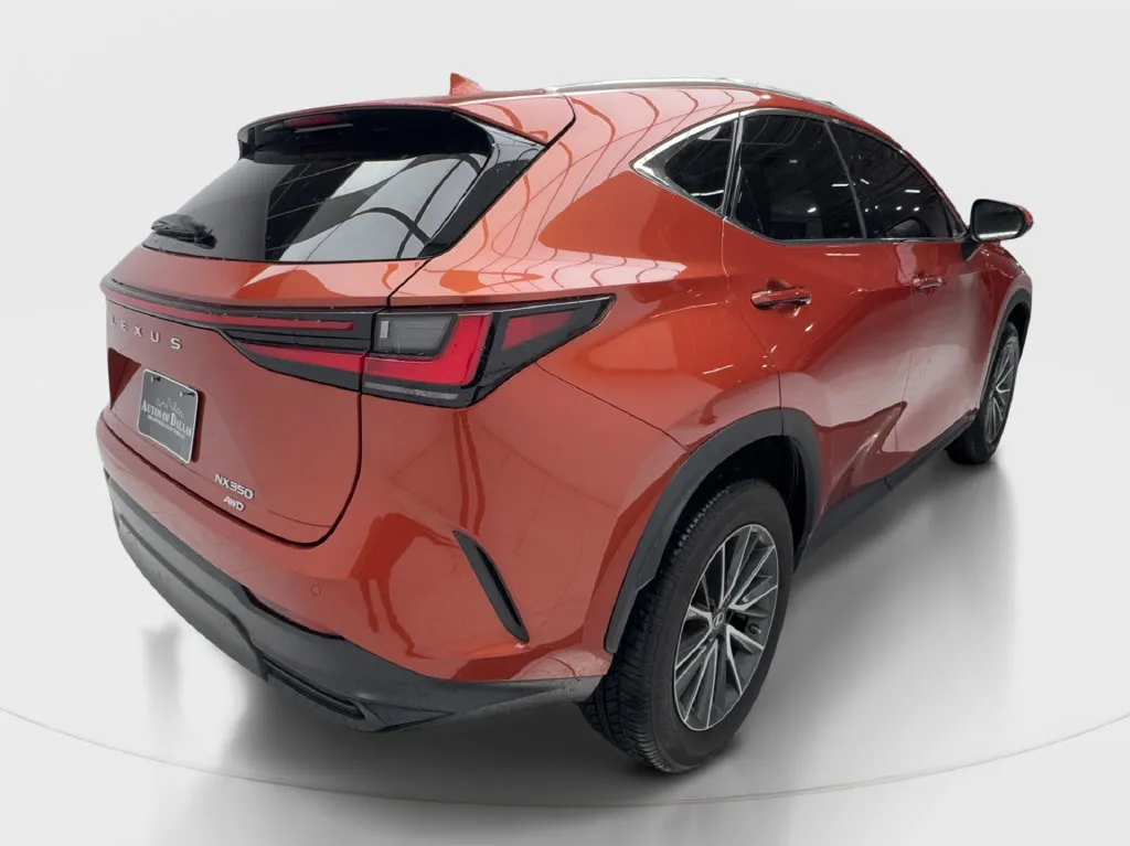 Lexus NX photo 8