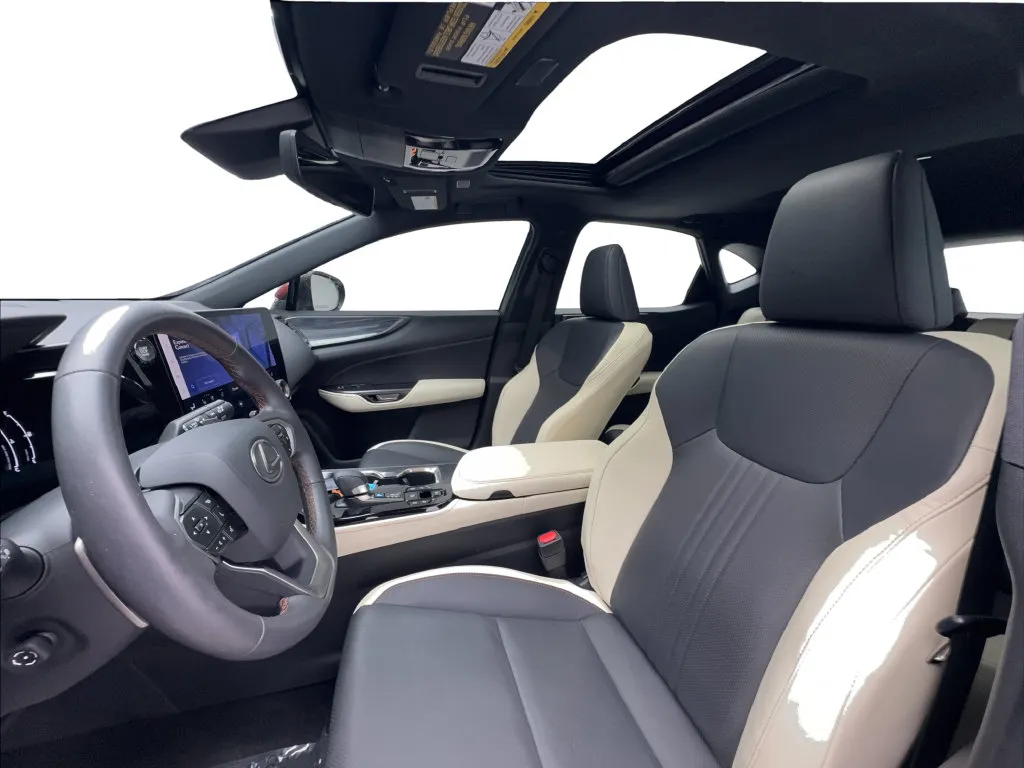 Lexus NX photo 21