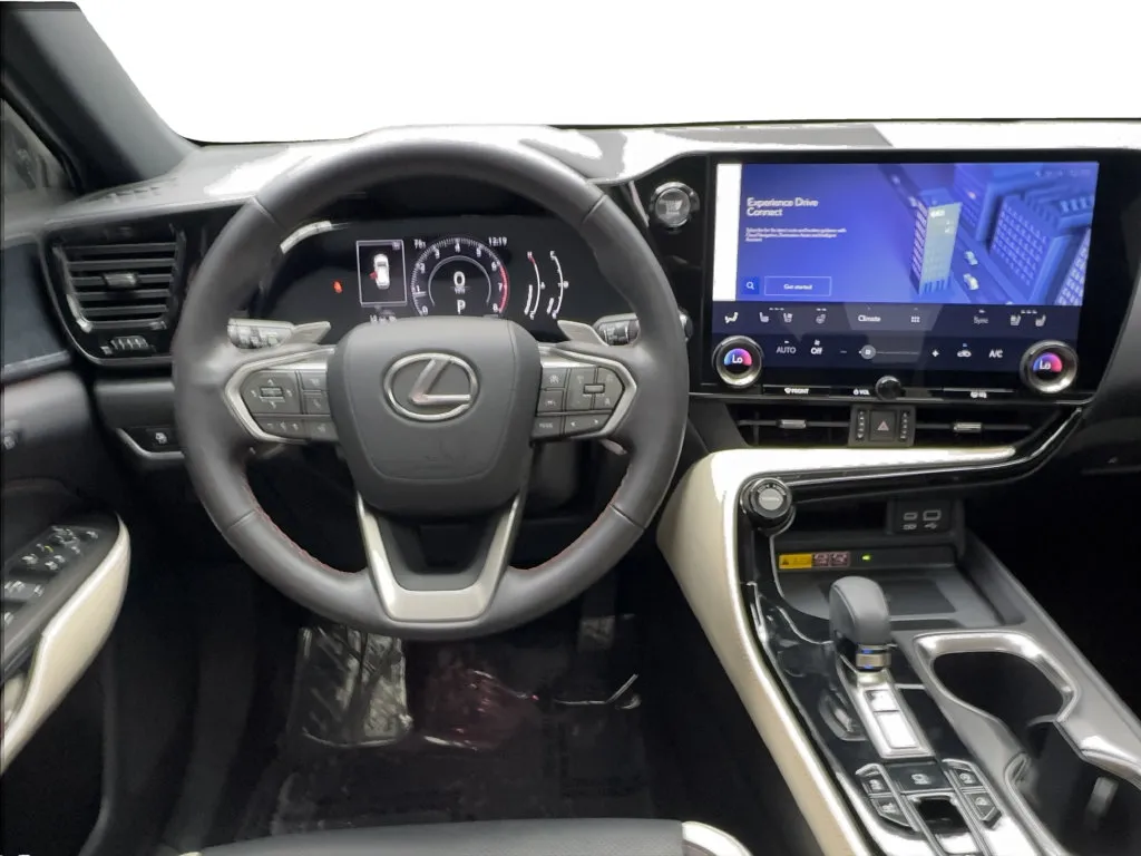 Lexus NX photo 37