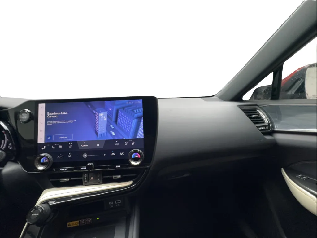 Lexus NX photo 47