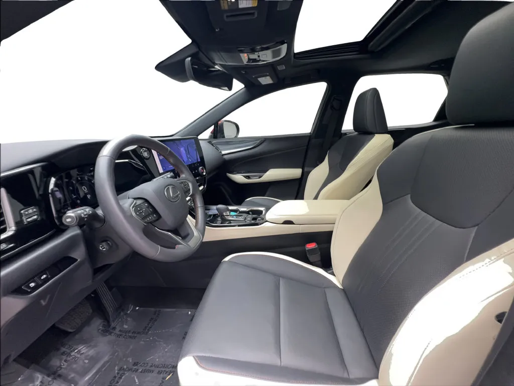 Lexus NX photo 22