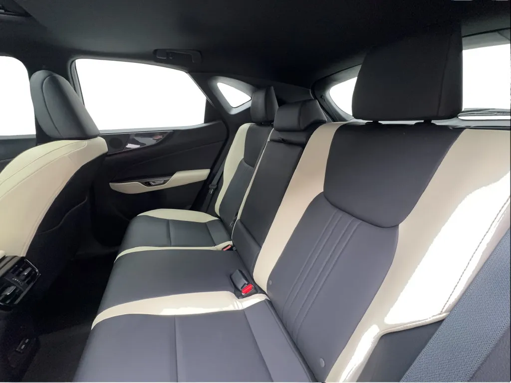Lexus NX photo 27
