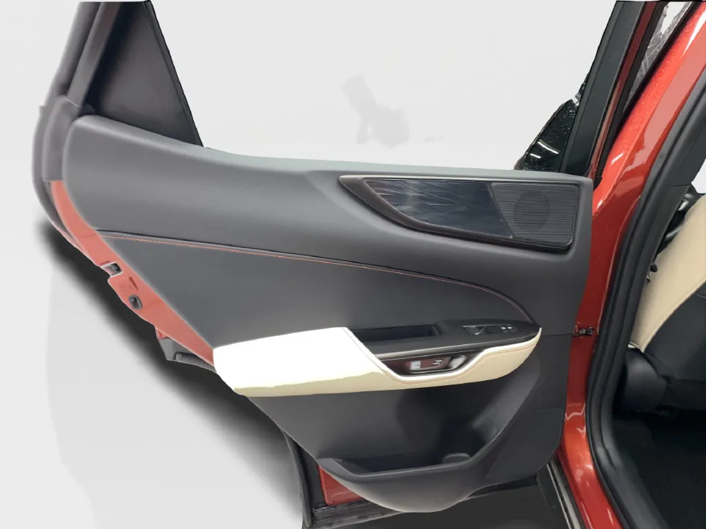Lexus NX photo 28