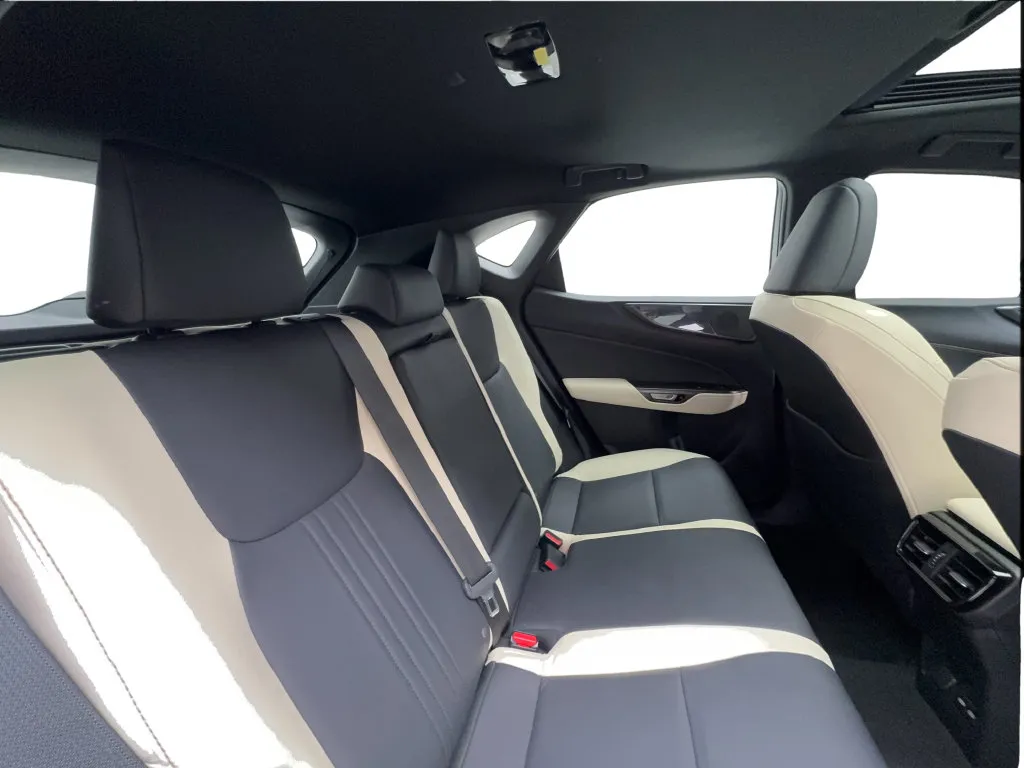 Lexus NX photo 29