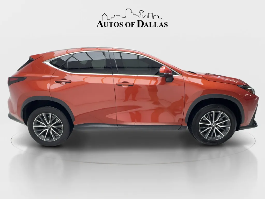 Lexus NX photo 7