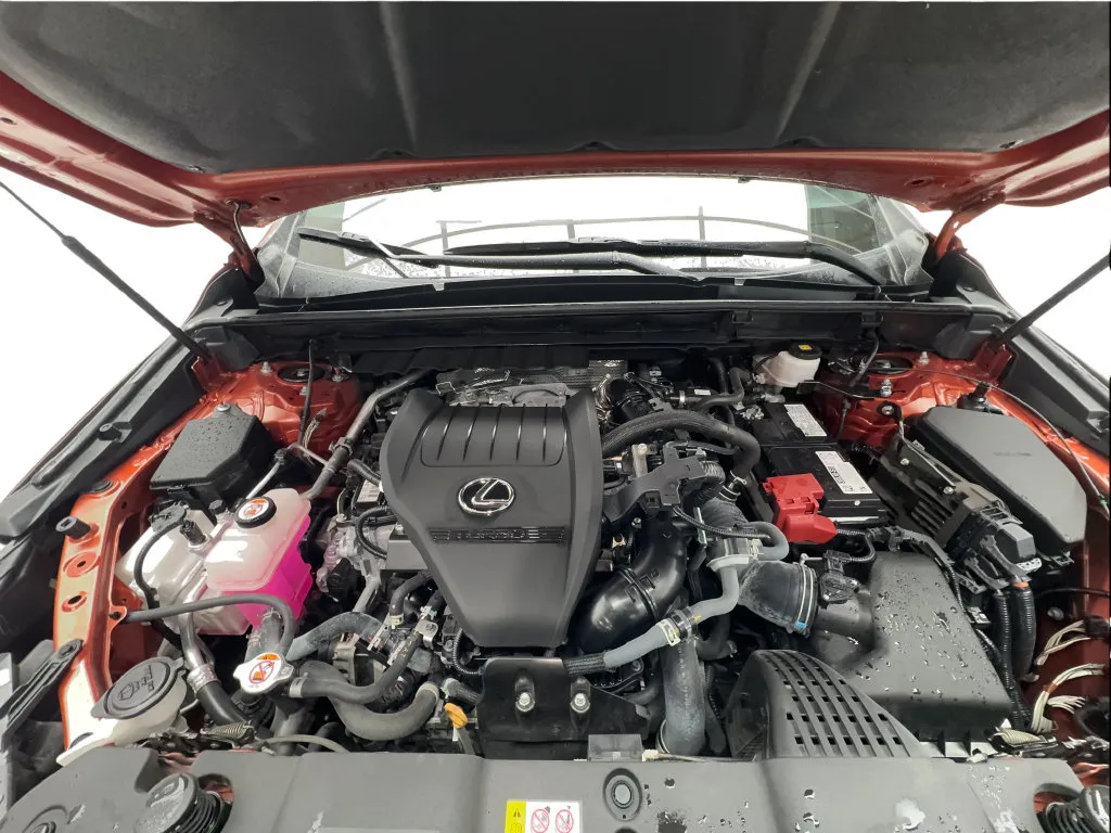 Lexus NX photo 20