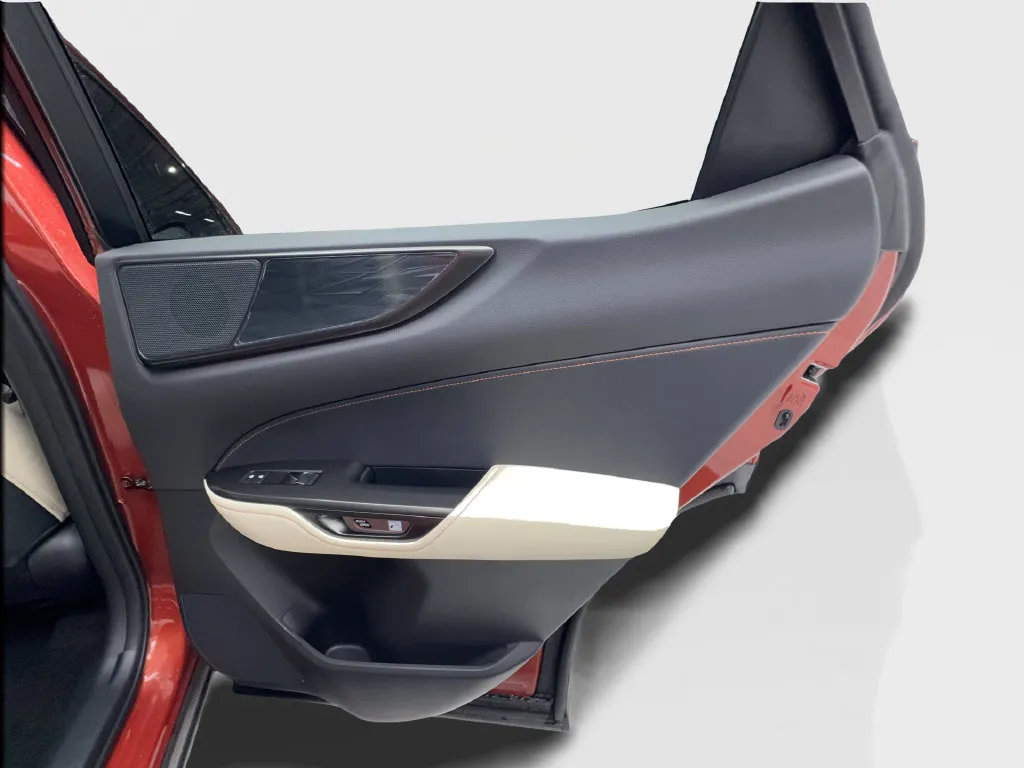 Lexus NX photo 30