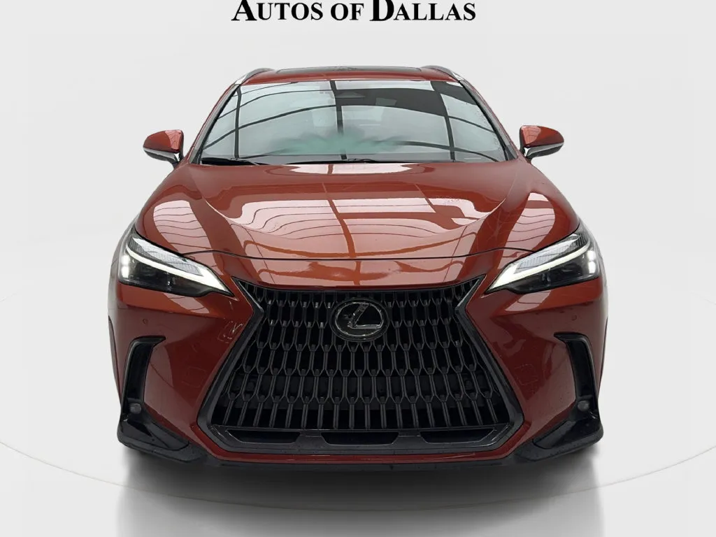 Lexus NX photo 4