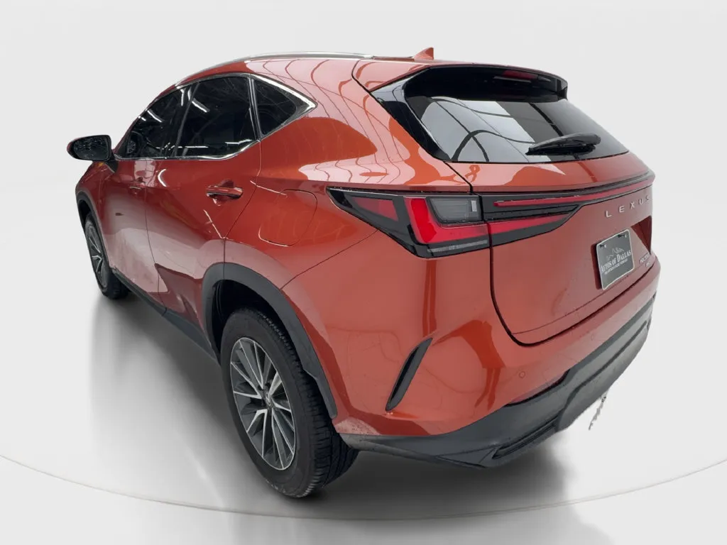 Lexus NX photo 11