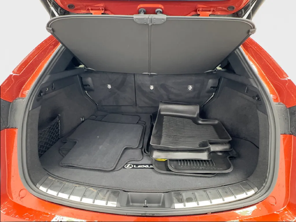 Lexus NX photo 19