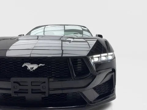 More photos of 2024 Ford Mustang GT Premium at Autos of Dallas - Plano, TX