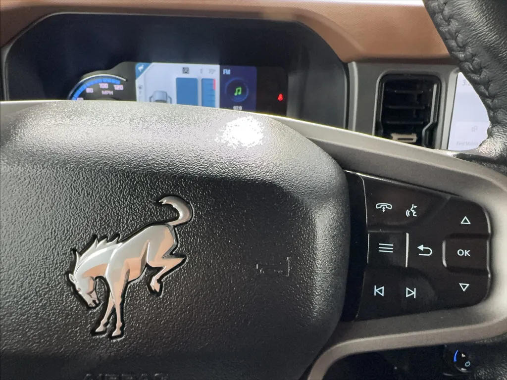 Ford Bronco photo 40