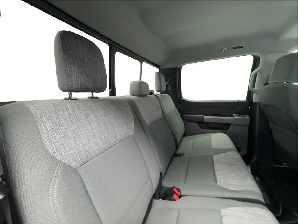 Ford F-150 photo 32