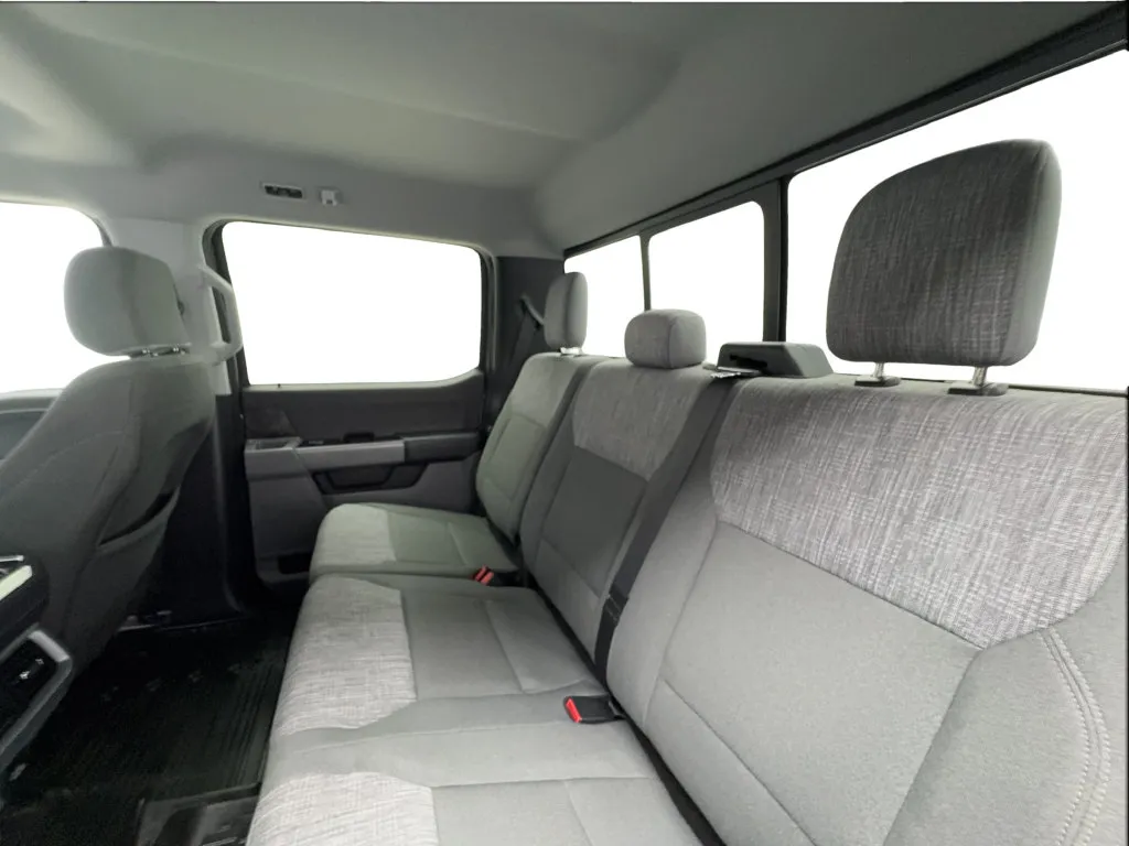 Ford F-150 photo 28