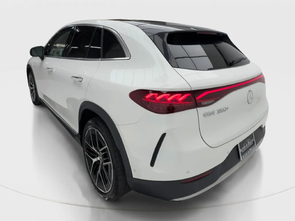 Mercedes-Benz EQE photo 11