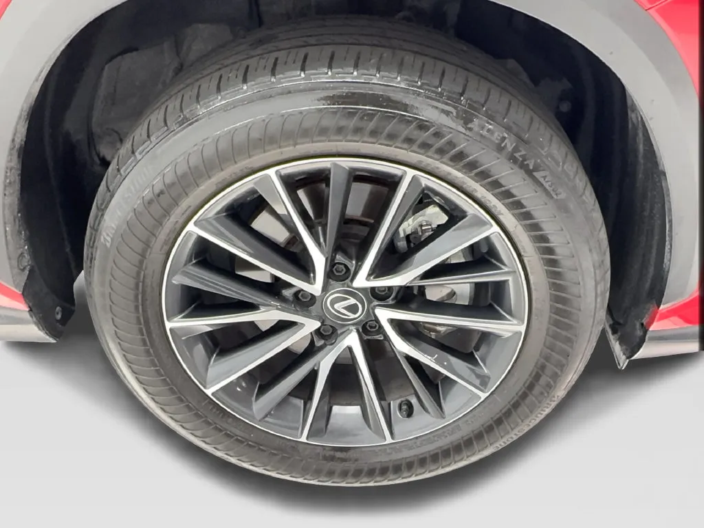 Lexus NX photo 15