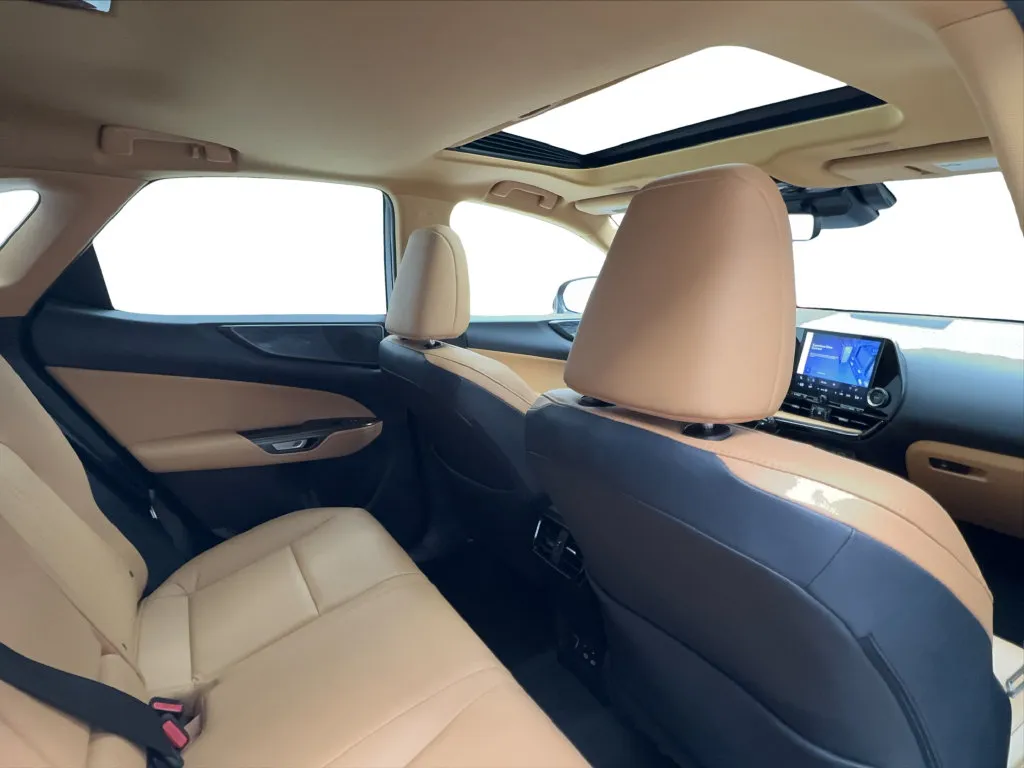 Lexus NX photo 28
