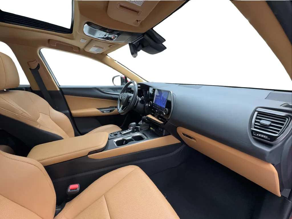 Lexus NX photo 34