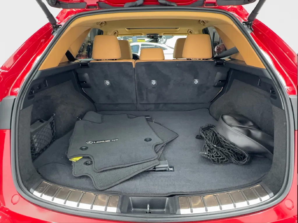 Lexus NX photo 18