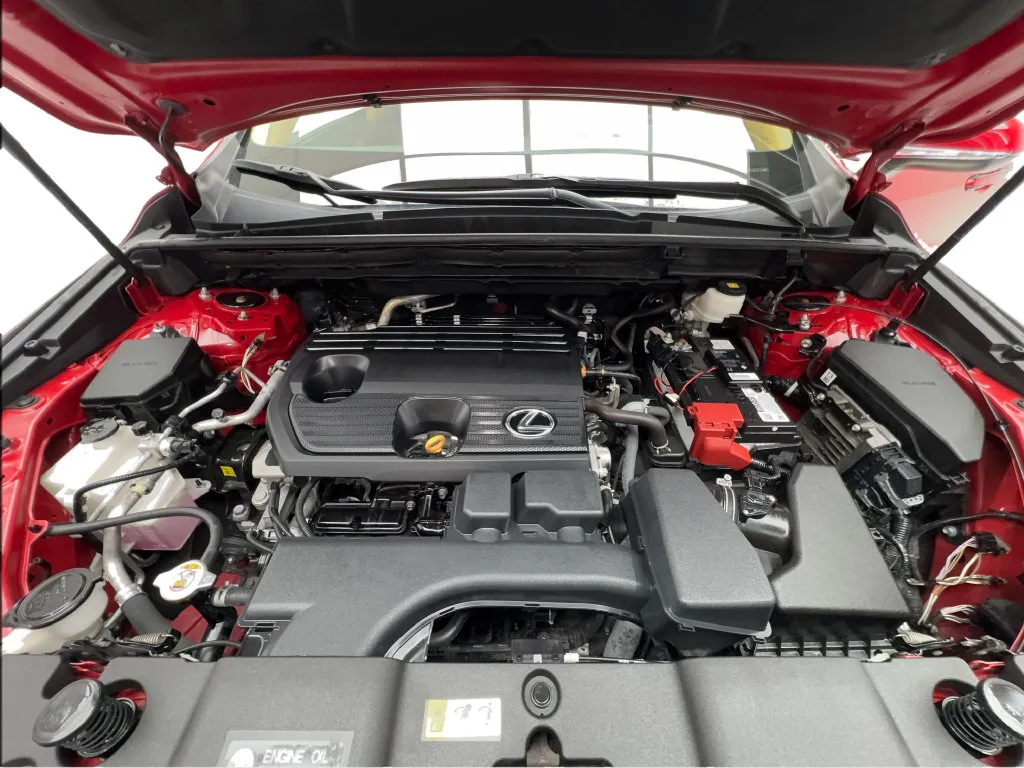 Lexus NX photo 19