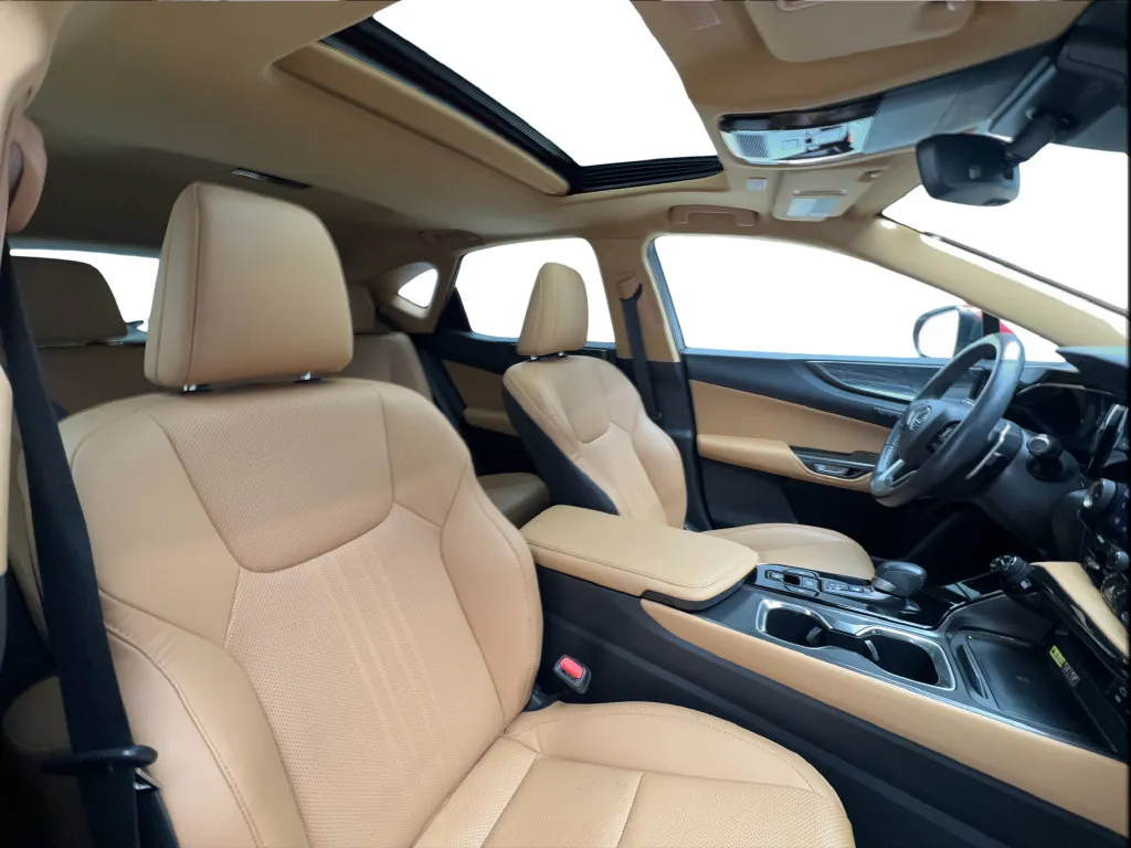 Lexus NX photo 32