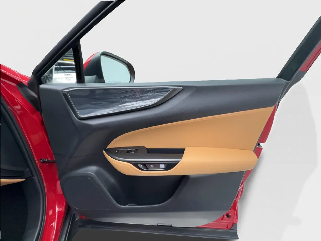 Lexus NX photo 35