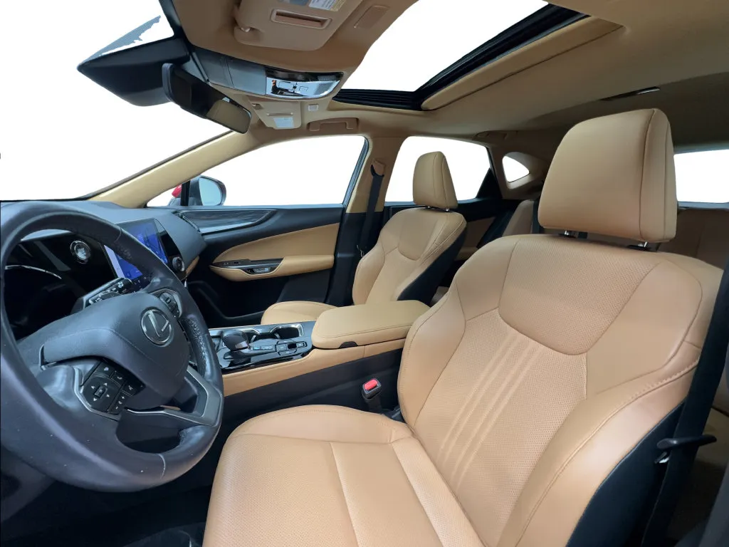 Lexus NX photo 20