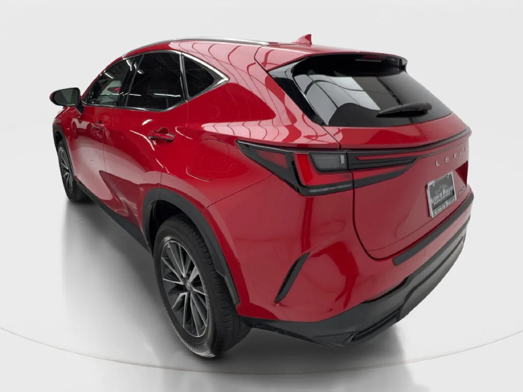 Lexus NX photo 11