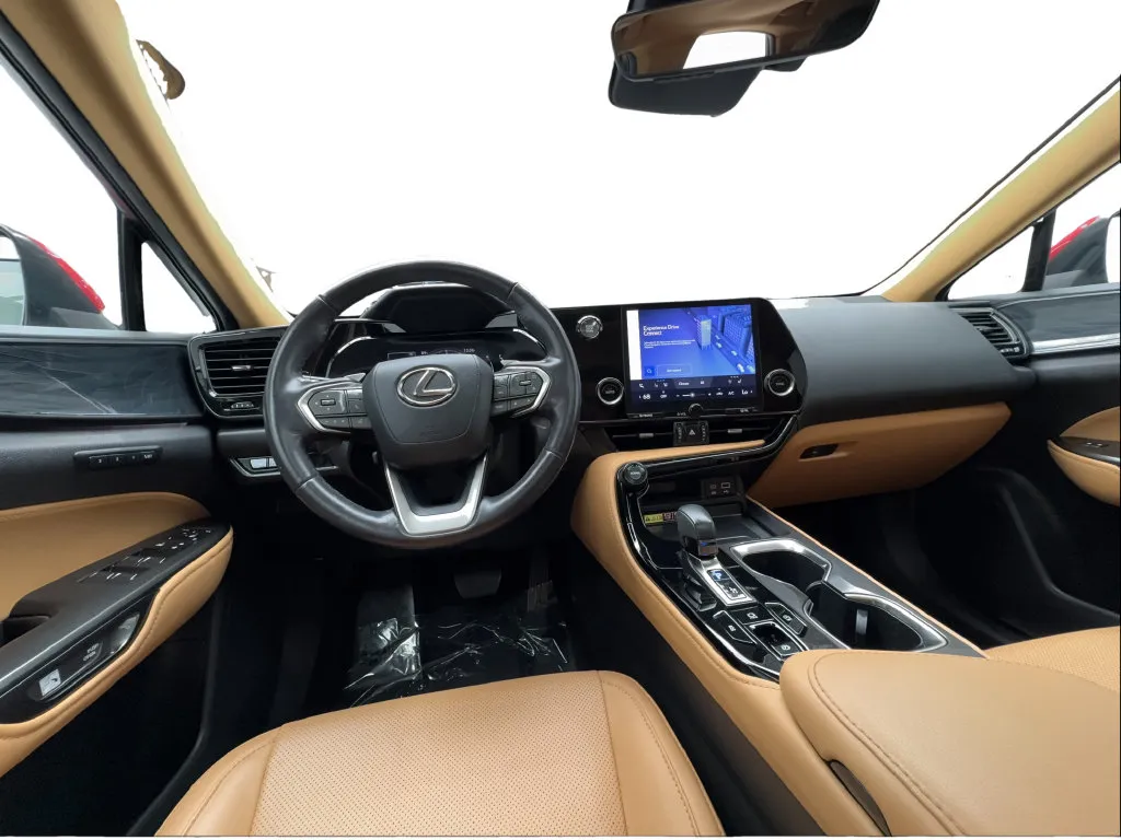Lexus NX photo 36
